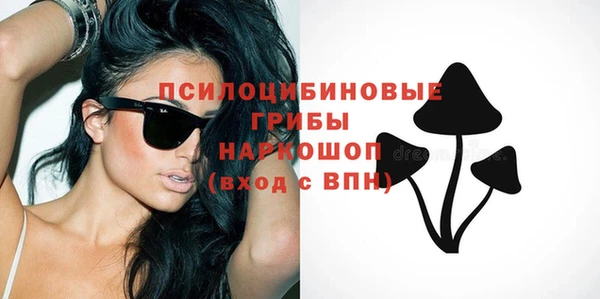 круглые Алзамай